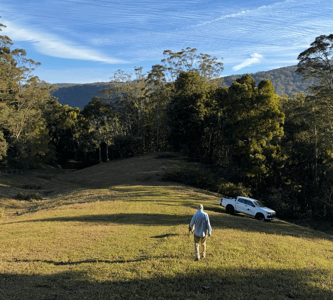 Walking a grassy block at the foot of a forested ridge, the ADS Forestry ute parked at the tree line